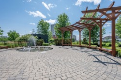 Garden - 
