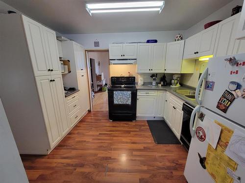 120 Third St, Rainy River, ON - Indoor Photo Showing Kitchen With Double Sink