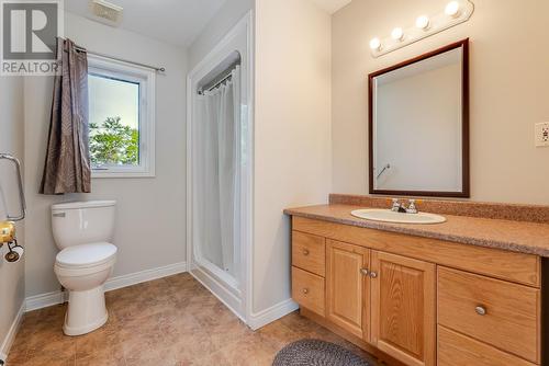 2 Lower Path Road, Bay Bulls, NL - Indoor Photo Showing Bathroom