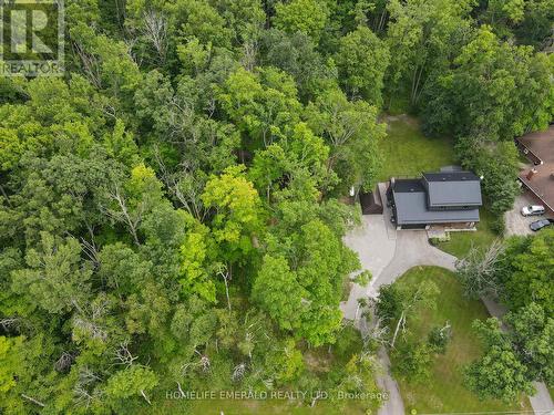 2391 Seadon Road, Springwater, ON - Outdoor