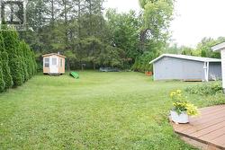 Back Yard - 