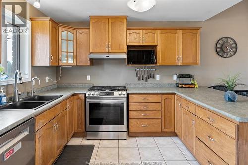 7841 Collison Sideroad, Amherstburg, ON - Indoor Photo Showing Kitchen With Double Sink