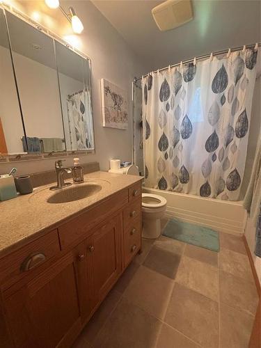 302 Murray Avenue, Glenboro, MB - Indoor Photo Showing Bathroom