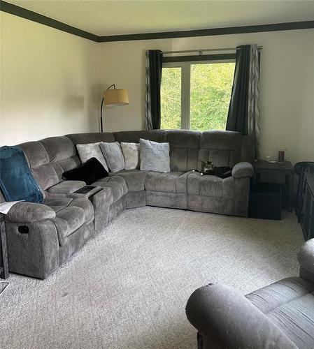 302 Murray Avenue, Glenboro, MB - Indoor Photo Showing Living Room