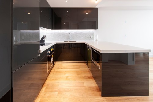 Kitchen - 3308-1188 Av. Union, Montréal (Ville-Marie), QC - Indoor Photo Showing Kitchen With Upgraded Kitchen