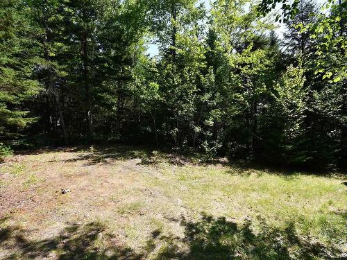 69 Forest Heights Drive, Vaughan, NS 