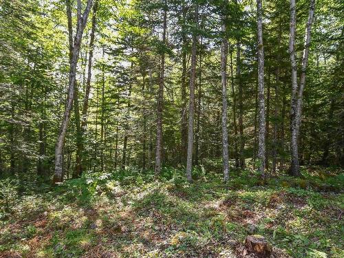 69 Forest Heights Drive, Vaughan, NS 