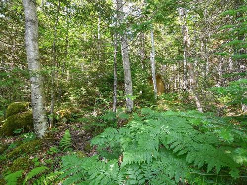 69 Forest Heights Drive, Vaughan, NS 