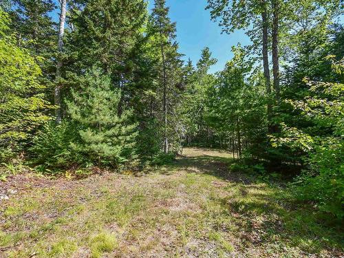 69 Forest Heights Drive, Vaughan, NS 
