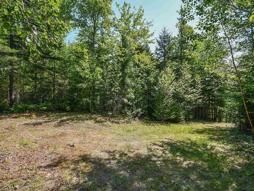 69 Forest Heights Drive, Vaughan, NS 