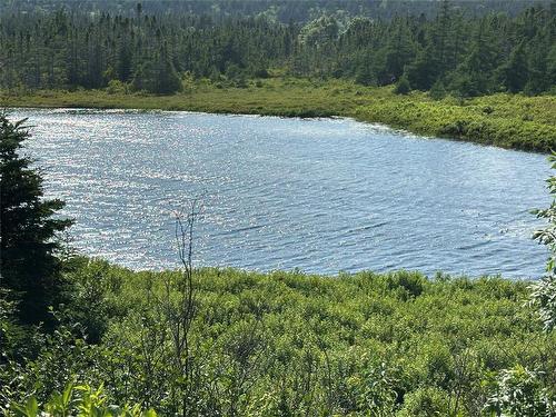 77 Conception Bay Highway, Lakeview, NL - Outdoor With Body Of Water With View