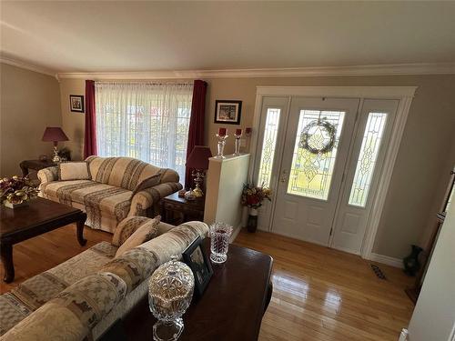 77 Conception Bay Highway, Lakeview, NL - Indoor Photo Showing Living Room