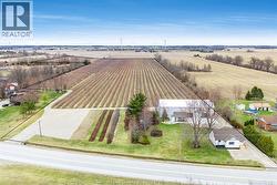 496 County Rd 34  Ruthven, ON N0P 2G0