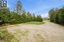 Expansive gravel driveway bordered by lush, mature trees and a manicured grassy mound - 