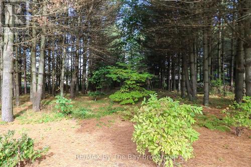 60 Martyn Drive, Wasaga Beach, ON - Outdoor