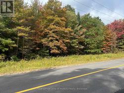 PT2 35R 132264 BONNIE LAKE ROAD Bracebridge (Macaulay), ON P1L 1W9