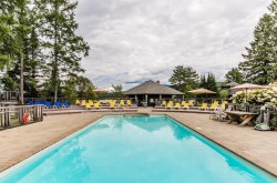 Pool - 