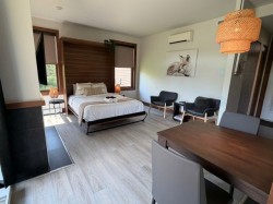 Overall view - 
