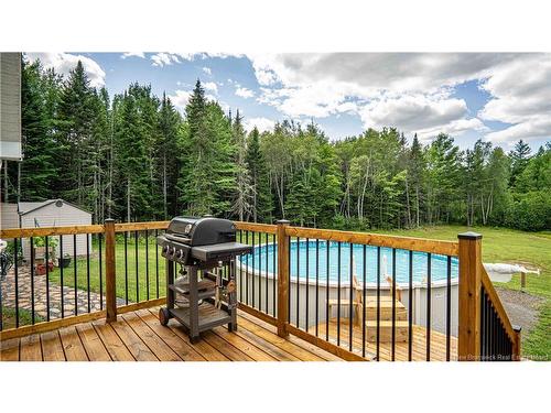 87 Dexter Cres, Lincoln, NB 