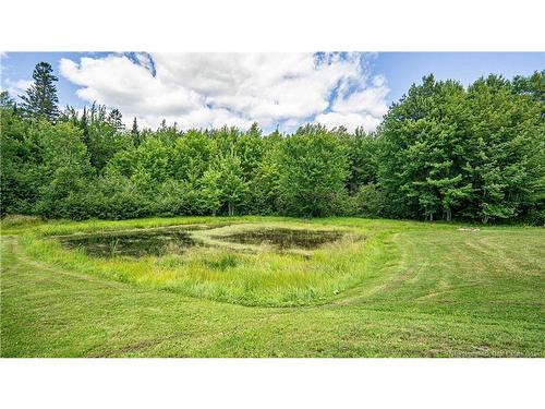 87 Dexter Cres, Lincoln, NB 