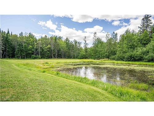 87 Dexter Cres, Lincoln, NB 