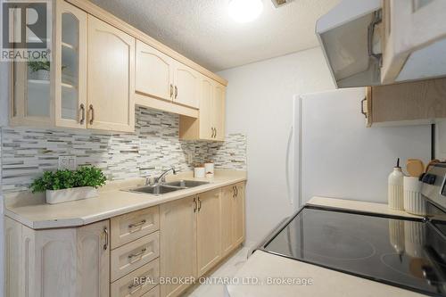 202 - 893 Concession Street, Hamilton, ON - Indoor Photo Showing Kitchen With Double Sink