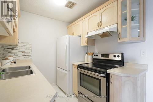 202 - 893 Concession Street, Hamilton, ON - Indoor Photo Showing Kitchen With Double Sink