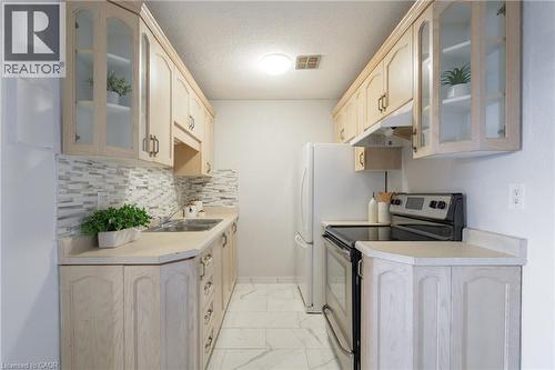 893 Concession Street Unit# 202, Hamilton, ON - Indoor Photo Showing Kitchen With Double Sink