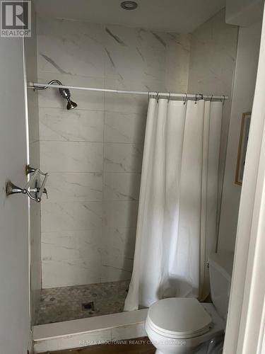 66 Wellington Street S, Hamilton, ON - Indoor Photo Showing Bathroom