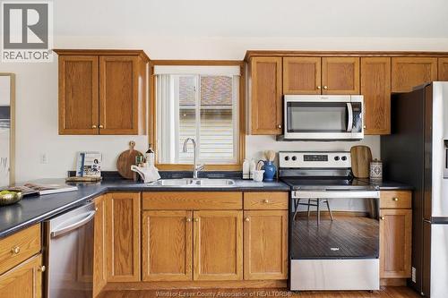 9553 Manitou, Windsor, ON - Indoor Photo Showing Kitchen With Double Sink