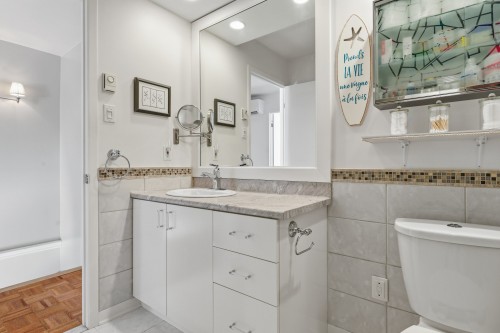 Salle de bains - 437 Rue Marchand, Mascouche, QC - Indoor Photo Showing Bathroom
