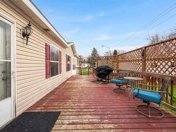 Huge Deck - 