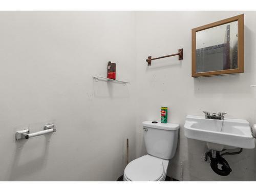 360 Wallace Street|Hope, Hope, BC - Indoor Photo Showing Bathroom