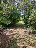 680 HIGHWAY 49 Prince Edward County (Picton), ON K0K 2T0