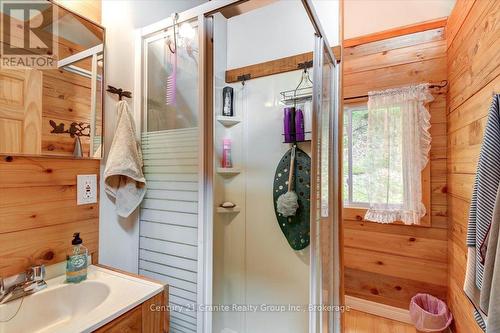 91 Ups & Downs Lane, South Algonquin, ON - Indoor Photo Showing Bathroom