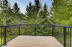 Spacious outdoor deck featuring wood-finish composite decking and contemporary black metal railings - 