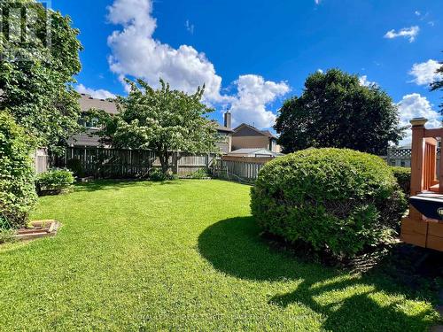 Cherry Tree, Perennial Plans, Green Space - 3364 Ingram Road, Mississauga, ON - Outdoor