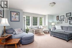 Living area featuring soft carpet flooring, light-toned walls, and a multi-pane window with exterior views - 