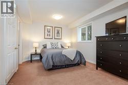 Carpeted room featuring white walls, a recessed window, and white trim - 