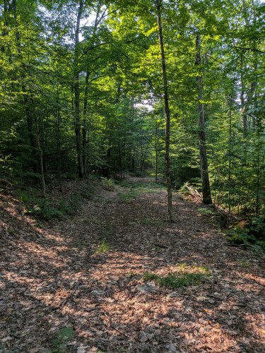Other - Mtée St-Elmire, Saint-Sauveur, QC 