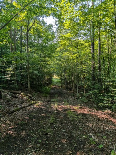 Other - Mtée St-Elmire, Saint-Sauveur, QC 