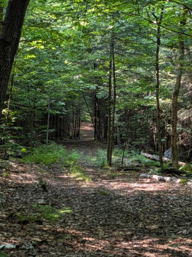 Other - Mtée St-Elmire, Saint-Sauveur, QC 