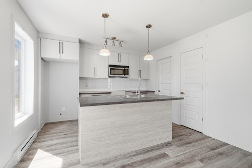 Cuisine - 1893 Rue Louis-Philippe-Hébert, Chambly, QC - Indoor Photo Showing Kitchen With Double Sink