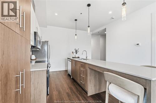 595 Lily Mac Unit# 103, Windsor, ON - Indoor Photo Showing Kitchen With Upgraded Kitchen