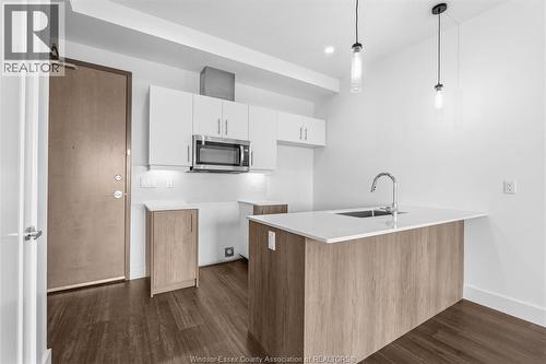 595 Lily Mac Unit# 103, Windsor, ON - Indoor Photo Showing Kitchen With Upgraded Kitchen