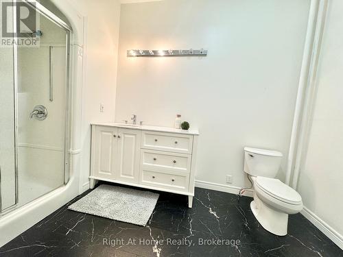 216 Hatt Street, Hamilton (Dundas), ON - Indoor Photo Showing Bathroom