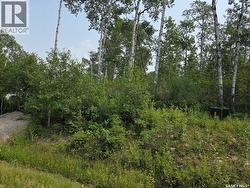 5 Smits AVENUE  Codette, SK S0E 0P0