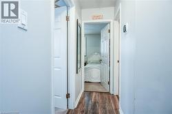 Hallway with wood-finish flooring, light grey painted walls, and white trim - 