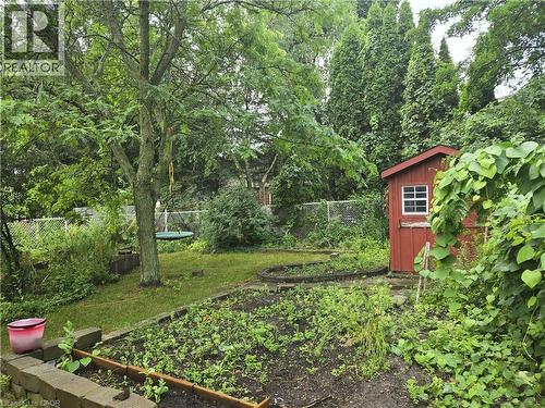 Expansive backyard featuring a red storage shed, mature trees, tiered landscaping, a visible planting bed, and a chain-link fence - 67 Pinemeadow Crescent, Waterloo, ON - Outdoor