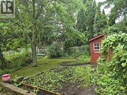 Expansive backyard featuring a red storage shed, mature trees, tiered landscaping, a visible planting bed, and a chain-link fence - 